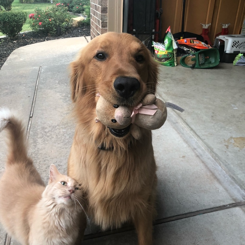 Meet your Posher, Lisa